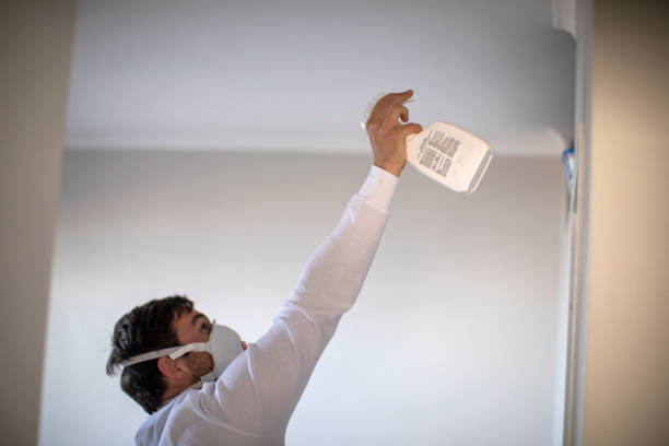 Best Emergency Mold Removal  in Bradford, RI