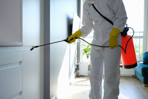 Best Certified Mold Removal  in Bradford, RI