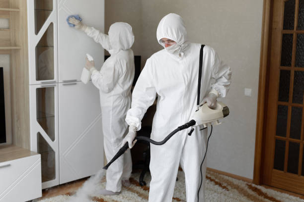 Mold Removal and Inspection in Bradford, RI