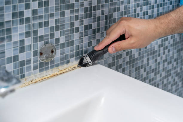 Best Fast Mold Removal  in Bradford, RI
